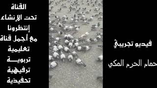 حمام الحرم المكي فيديو تجريبي