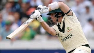 Steve Smith 67 in CWC 2019 Ball by ball 