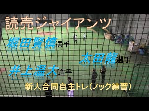 読売ジャイアンツ 巨人軍 新人合同自主トレ  堀田賢慎選手、太田龍選手、井上温大選手の守備練習（ノック）