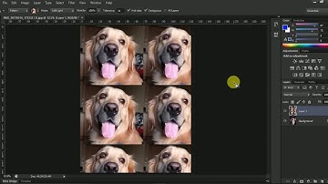 Photoshop Tutorial 2017 #23 How to use the paint bucket tool