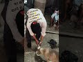 बस लोगो की सोच बदलना🤌बदल नही सकते हैं पर कोशिस🤞करने मे क्या जाता है ❤️💯🐕