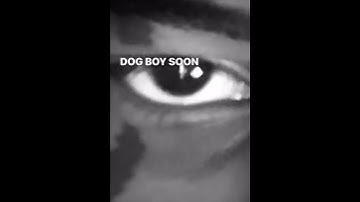 ZillaKami Volume 3/Solo Tape Snippets 12/12/20