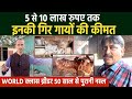 Rajendra Gohil का Top क्लास Gir ब्रीडिंग सेंटर। Pradeep Bapu भी हुए मुरीद। रखी 50 साल पुरानी नस्ल