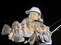 りゅうのメバル最強セッティング