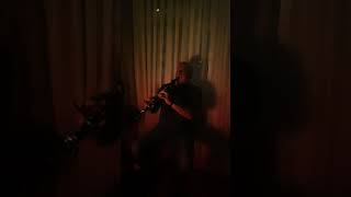 Sezen Aksu - Geçer / Klarnet : Mert Özbek