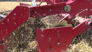 HORSCH Joker CT I Scheibenegge für perfekte Stoppelbearbeitung & Saatbettbereitung