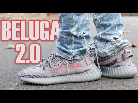 beluga 2.0 on foot