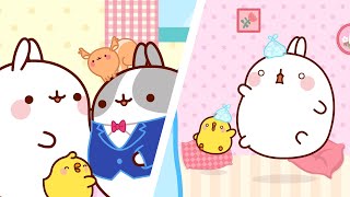 PIANIST NEIGHBOR OR GHOST? 👻 Molang | Season 3 Episode 24&25 | Funny Compilation For Kids