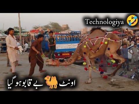 Second vlog 2025 Unth ba kabo hogya a - YouTube