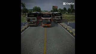 .Editorメ .34Rz Liat