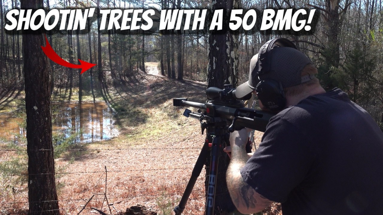 Cutting A Tree Down With A 50 CAL BMG! - YouTube