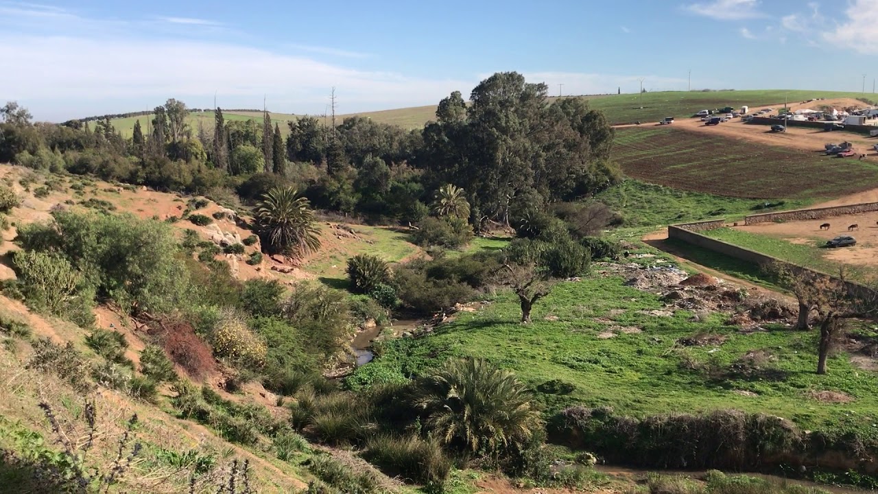 souk larb3a tiflet maroc, khemisset سوق الاربعاء تيفلت # المغرب #سوق مغربي