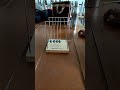 principles of conservation of momentum and conservation of energy in physics (Newton's cradle)