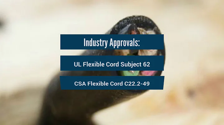 Type SJOOW Cable 300V