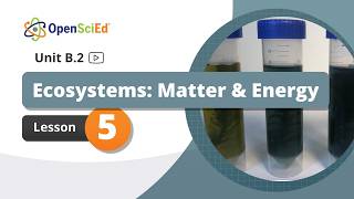 Unit B.2 Lesson 5 Planning Video | OpenSciEd On-Demand Resources