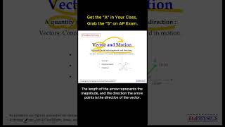Vector(1) #shorts #physics #apphysics #education #position #displacement #velocity #vector