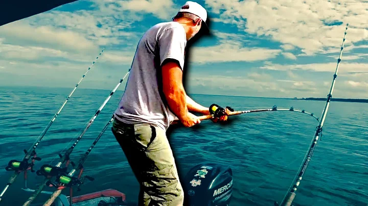 This catfish pulled so much drag. Anchored up on Santee Cooper for fall catfish