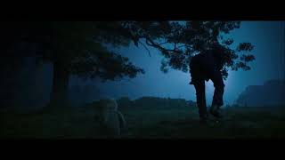 Ted Pan Peter Pan Part 19 - Ted Cares For Aipom