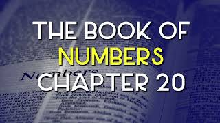 Numbers 20 NKJV - Book of Numbers- Chapter 20 - English Bible