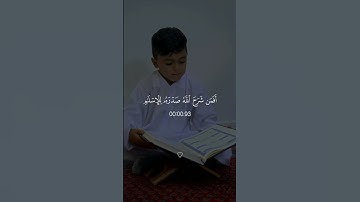 سورة الزمر - محمد اللحيدان