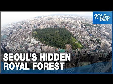 Seoul's Hidden Royal Forest: Where Joseon Kings Rest