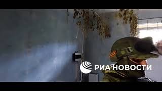 Российские военные обнаружили на оставленных украинскими войсками позициях под Лисичанском ферму