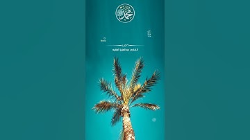أية الصلاه على النبي ﷺ القارئ عبد العزيز الفقية