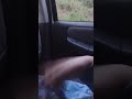2 Bear Cut