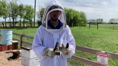 BEEKEEPING: Beginning Beekeeper Hive Tour with Blake Shook