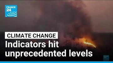 Key climate indicators hit unprecedented levels, scientists warn • FRANCE 24 English