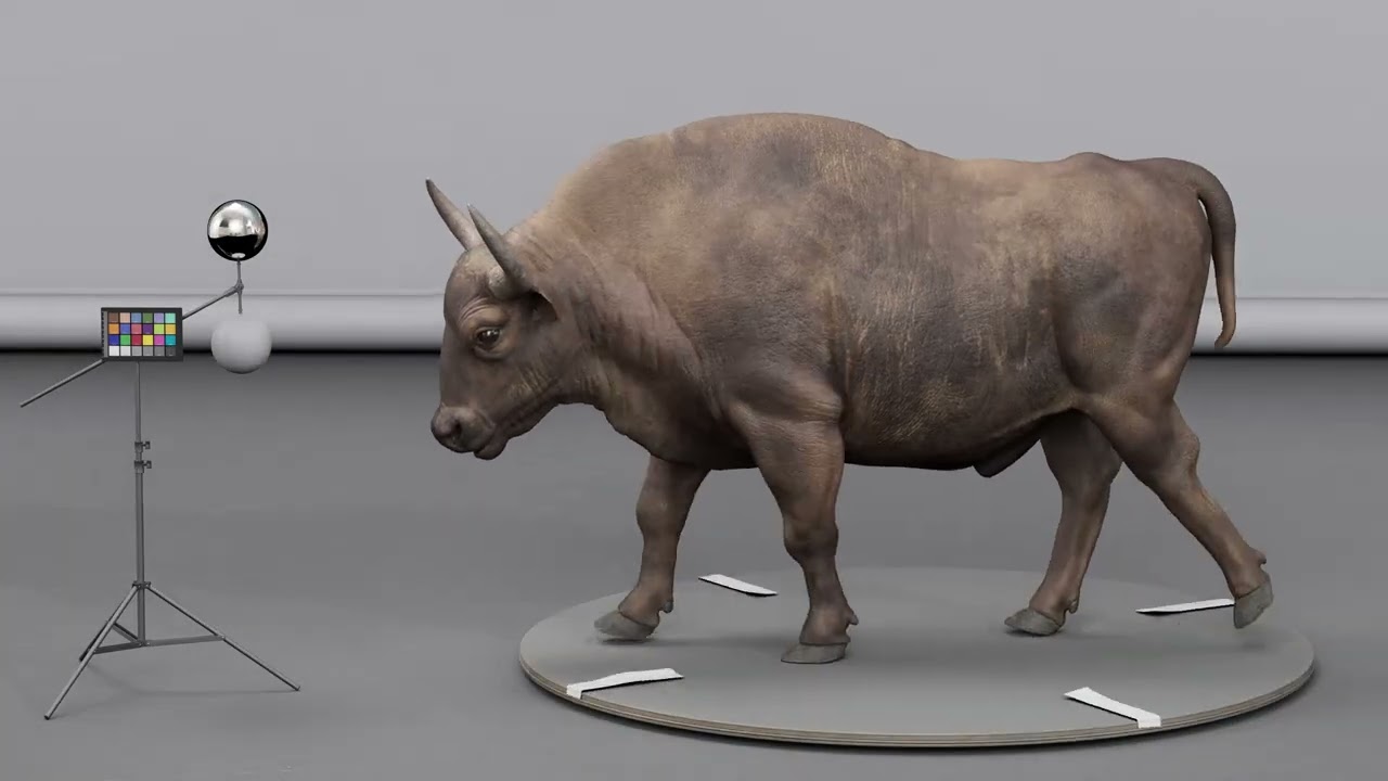 3D European Bison skin 