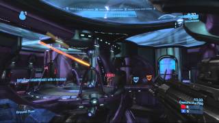 Bunnycake Extermination On Zealot