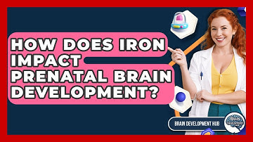 How Does Iron Impact Prenatal Brain Development? - Brain Development Hub