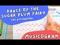 Miniature de la vidéo de la chanson Dance Of The Sugar-Plum Fairy