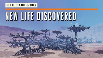 NEWS Elite Dangerous: October Mystery Deepens, Dodec Deployed & More!