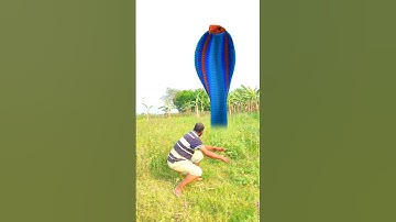Anaconda snake in real life P117#shorts #short #snake #nagin #python #anaconda #snakes #bigsnake