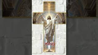 Dios te bendiga siempre y te proteja siempre #fe 