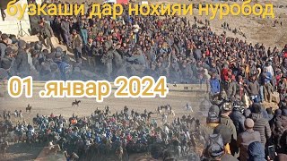 картинка: БУЗКАШАК ДА НОХИЯИ НУРОБОД 01.01.2024 одина човандоз