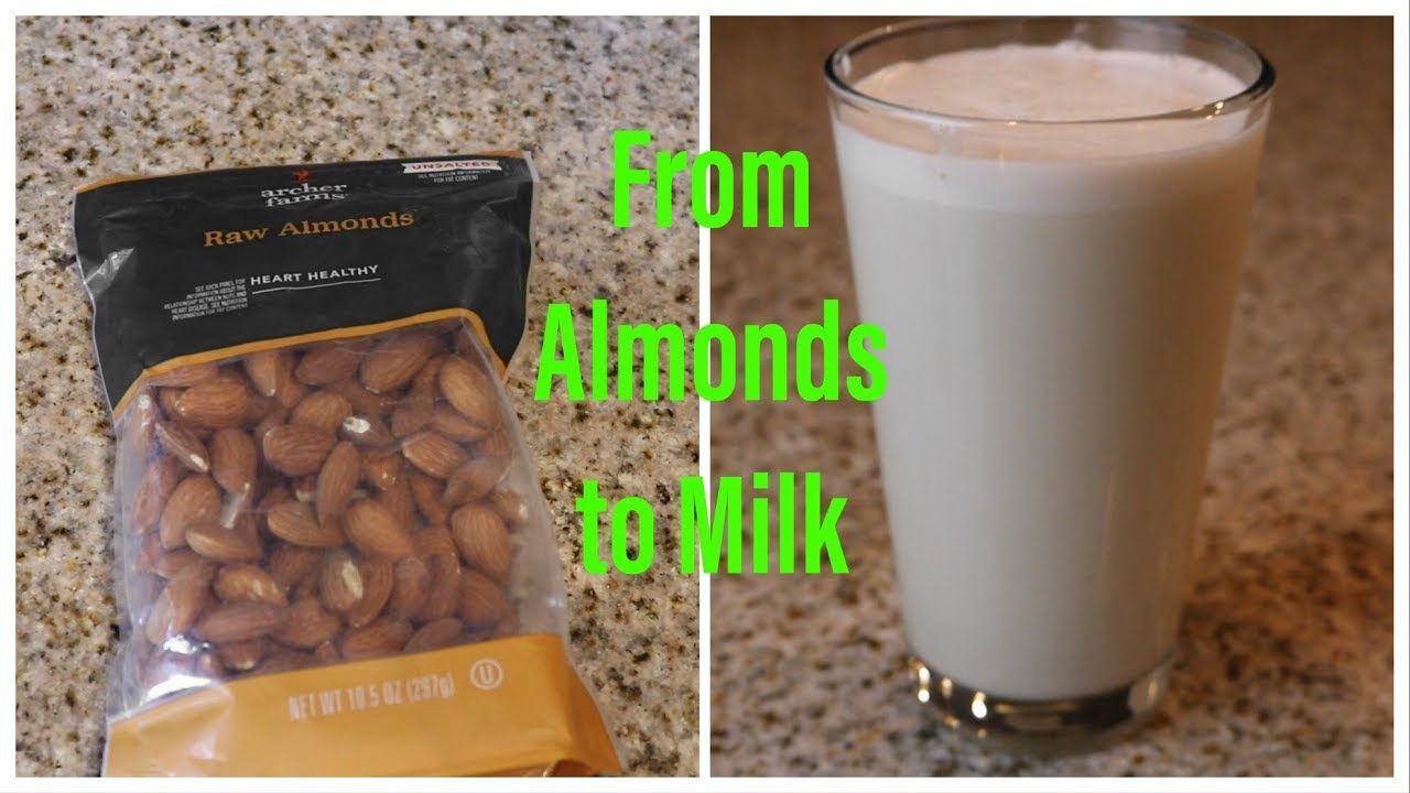 Almond Milk Make YOUR OWN at HOME!!! YouTube