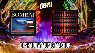 Bombai & Echoes (DJ Shadow Music Mashup) | Armin Van Buuren, Dyro, Jordan Grace, Florentin