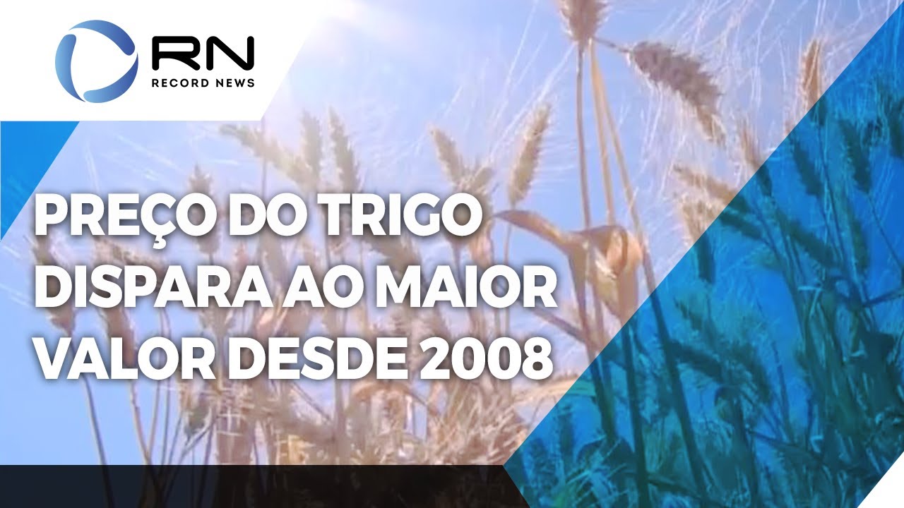 Preço do trigo dispara ao maior valor desde 2008 por conta do conflito entre Rússia e Ucrânia