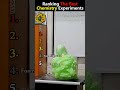 Ranking the best Chemistry Experiments 🤯💥