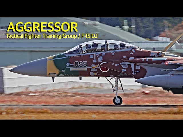 技mix F-15DJ 第305飛行隊（百里航空基地）AC04 技mix F-15DJ 第305飛行隊（百里航空基地）AC04 Amazon.co.jp: