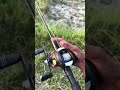 Full Fishing Setup info 🎣🔥#fishing #viral #fishinglife #shorts