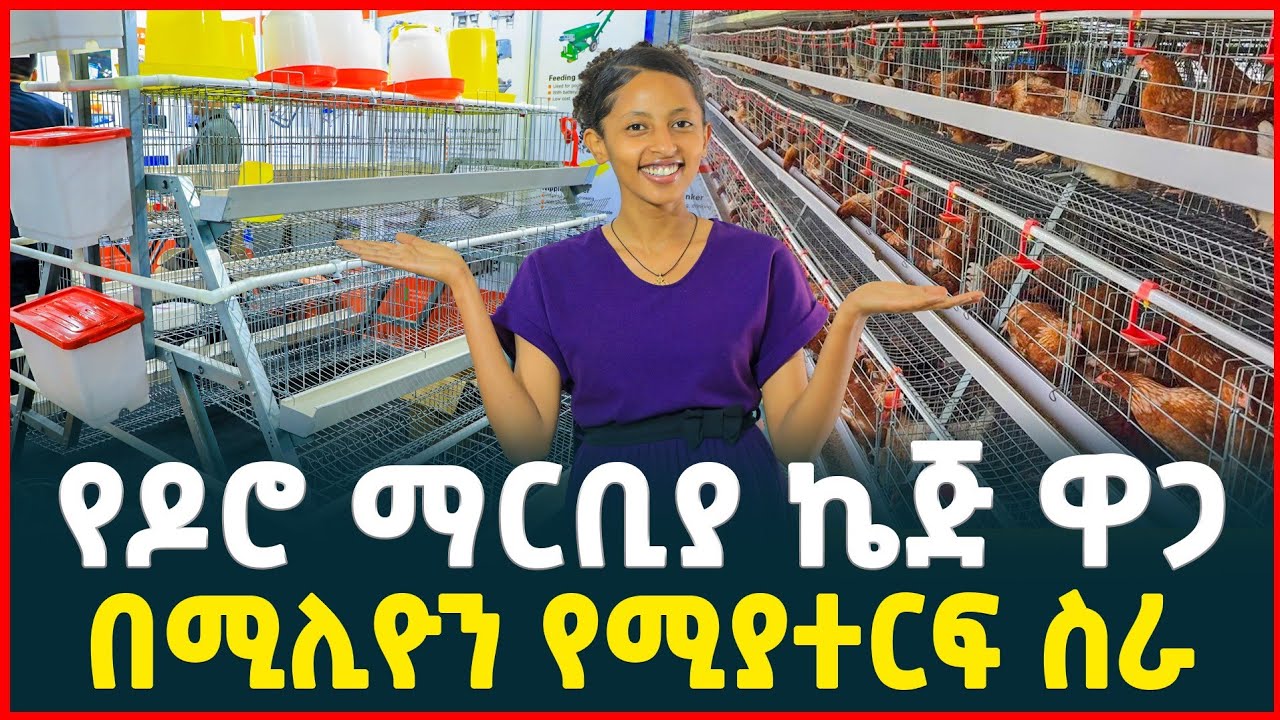 በሚሊዮን ብር የሚያተርፍ ስራ | የዶሮ ማርቢያ ኬጅ ዋጋ | Price of poultry Cages | Tirita Review 