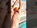 How To Dive!