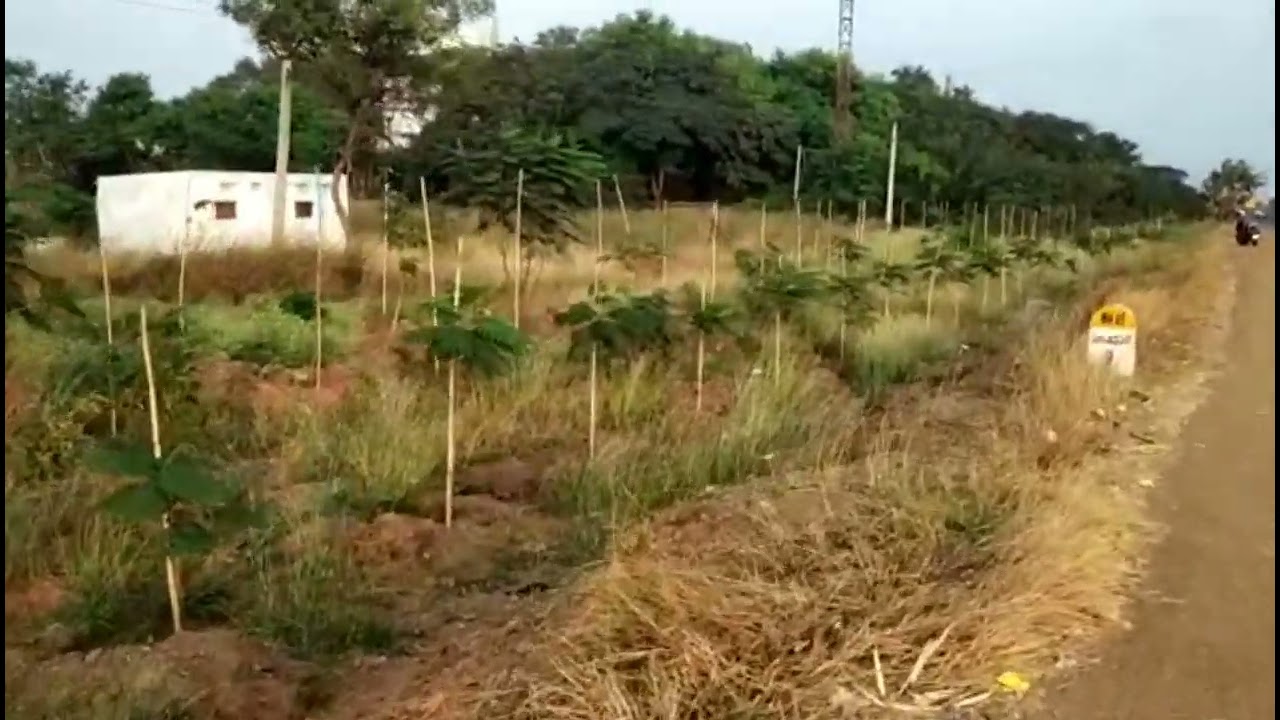 70 Acres Land in Aroor | Hyderabad | Estatelaza