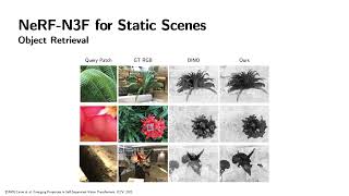 Neural Feature Fusion Fields: 3D Distillation of Self-Supervised 2D Image Representations