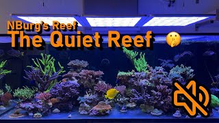 Mute Your Tank! How I Built a Quiet Reef🤫🔇