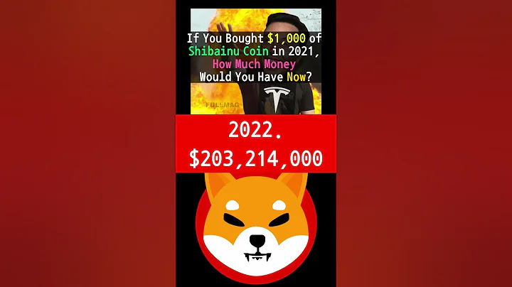 If You Bought $1,000 of Shibainu Coin in 2021, How Much Money Would You Have Now? #shibainucoin